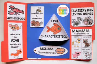 Animal Classification Lapbook - Homeschool Share