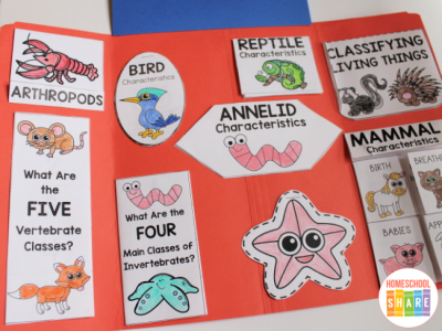 Animal Classification Lapbook - Homeschool Share