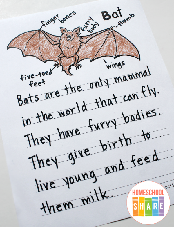 Alphabet Animal Report Forms - Homeschool Share