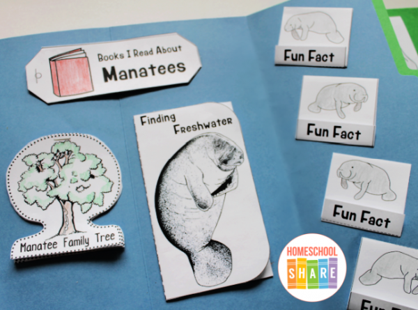 Manatee Lapbook - Homeschool Share