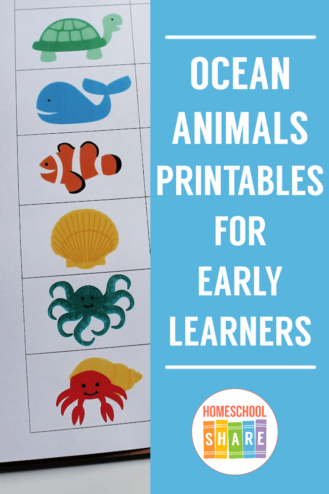 ocean animals pictures printable