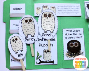 Free Owl Babies Activities For Preschool - Homeschool Share