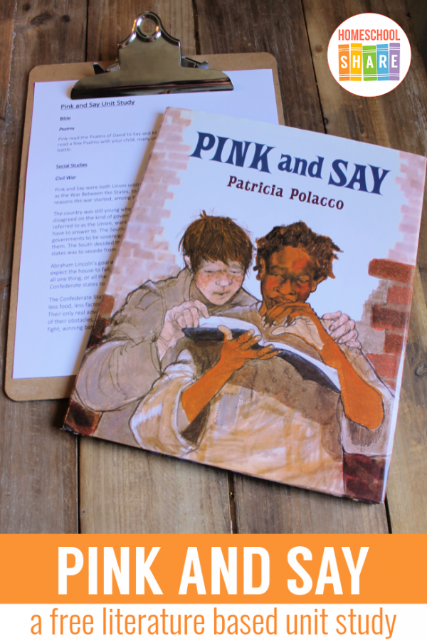 pink and say book