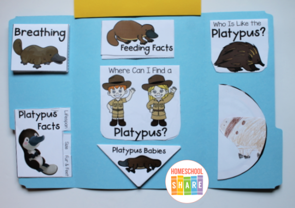 Platypus Lapbook - Homeschool Share