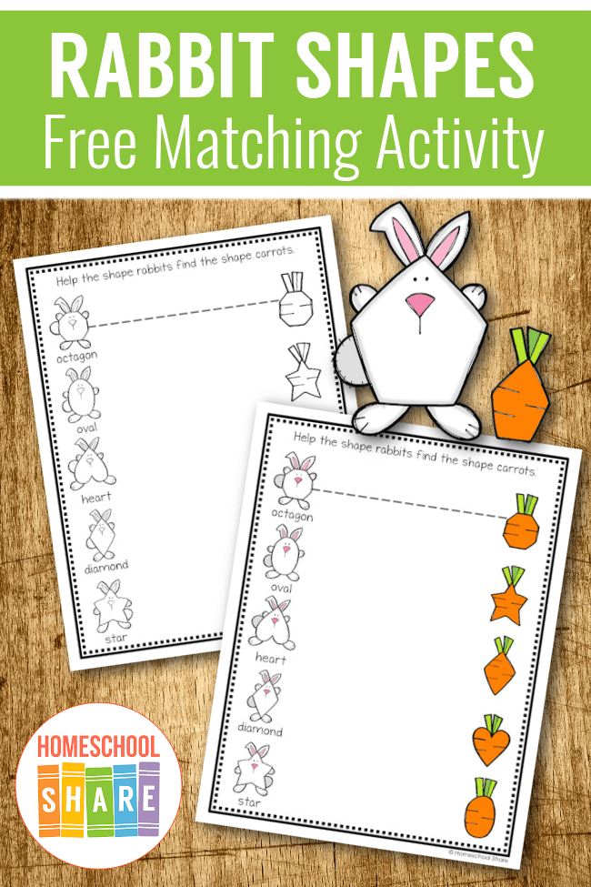 rabbit-matching-shapes-worksheets-homeschool-share