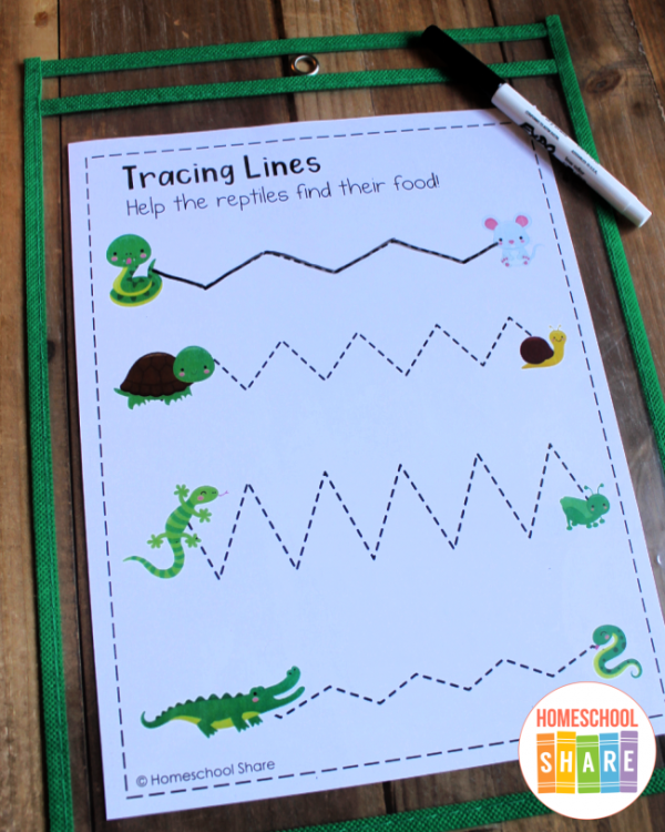 Reptile Printables for Preschool - Homeschool Share