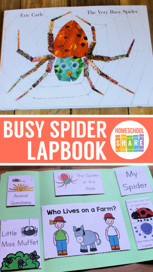 The Very Busy Spider Activities & Printables - Homeschool Share