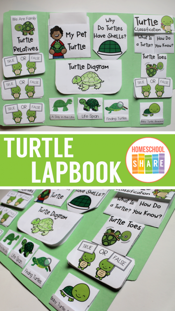 Turtle Lapbook - Homeschool Share