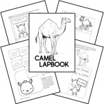 Tiger Lapbook - Homeschool Share