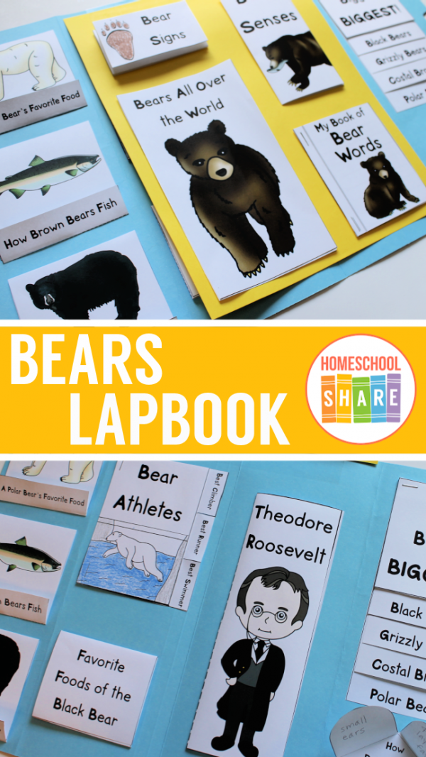 bears-lapbook-homeschool-share