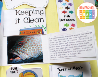 Free Coral Reef Lapbook - Homeschool Share