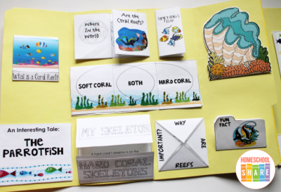 Free Coral Reef Lapbook - Homeschool Share