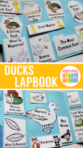 Free Ducks Lapbook - Homeschool Share