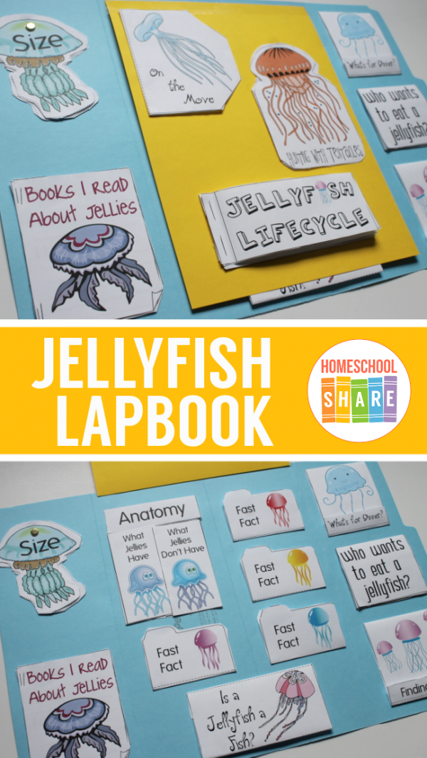 Jellyfish Lapbook - Homeschool Share