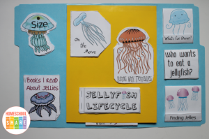 Jellyfish Lapbook - Homeschool Share