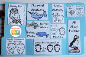 Polar Animals Lapbook - Homeschool Share