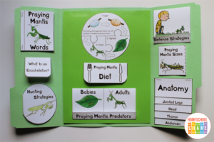 Animal Lapbooks - Homeschool Share