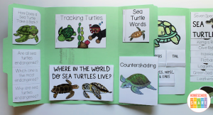 Animal Lapbooks - Homeschool Share