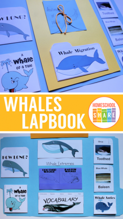 Whales Lapbook - Homeschool Share