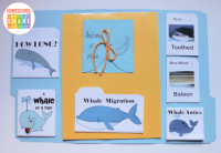 Whales Lapbook - Homeschool Share