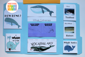 Whales Lapbook - Homeschool Share