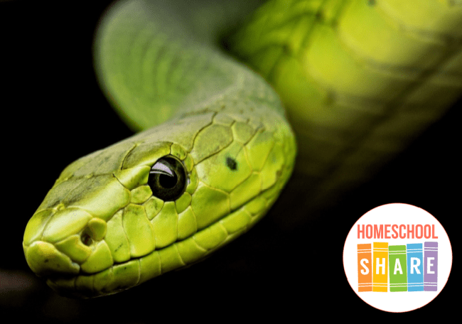 Unlock the Secrets of Snakes: Join our Basic Online Course in Snake Ecology  on November 4th & 5th, 2023, from 4 PM to 6 PM via Google Meet.…