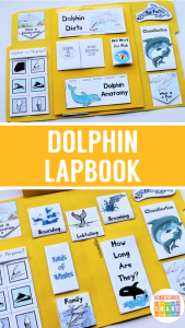 Free Dolphin Lapbook - Homeschool Share