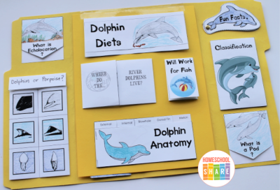 Free Dolphin Lapbook - Homeschool Share