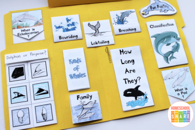 Free Dolphin Lapbook - Homeschool Share