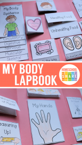 My Body Lapbook - Homeschool Share