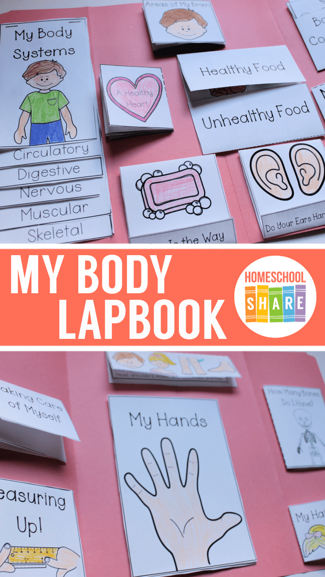 My Body Lapbook Homeschool Share