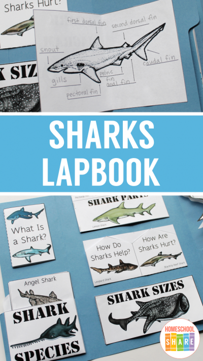 Sharks Lapbook - Homeschool Share