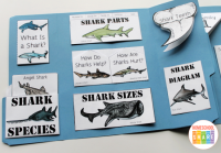 Sharks Lapbook - Homeschool Share