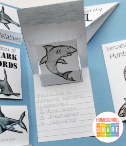 Sharks Lapbook - Homeschool Share