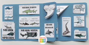 Sharks Lapbook - Homeschool Share