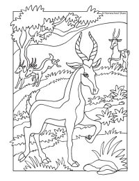 African Animals Coloring Pages - Homeschool Share