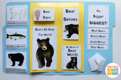 Bears Lapbook - Homeschool Share