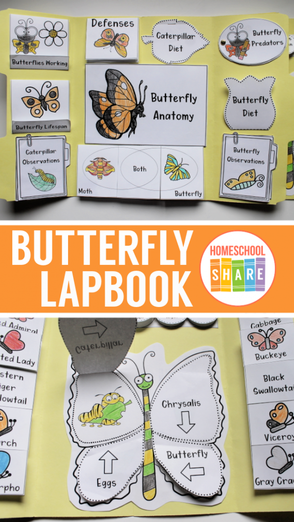 Free Butterfly Lapbook - Homeschool Share