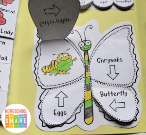 Free Butterfly Lapbook - Homeschool Share