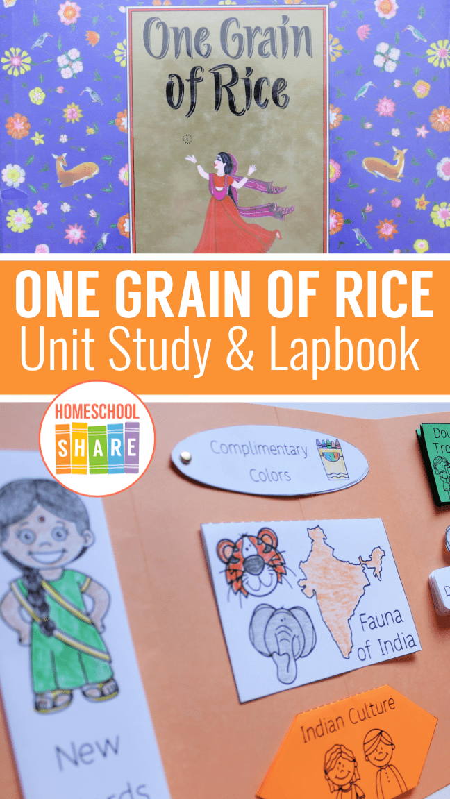 one-grain-of-rice-activities-homeschool-share