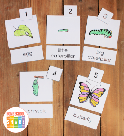 The Very Hungry Caterpillar Printables - Homeschool Share