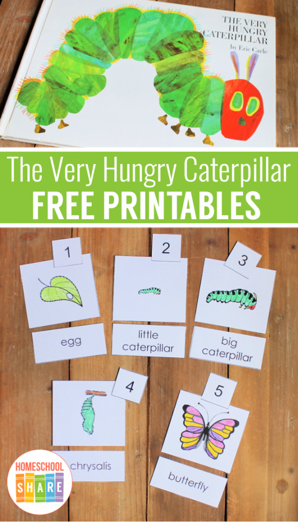 the very hungry caterpillar story pdf