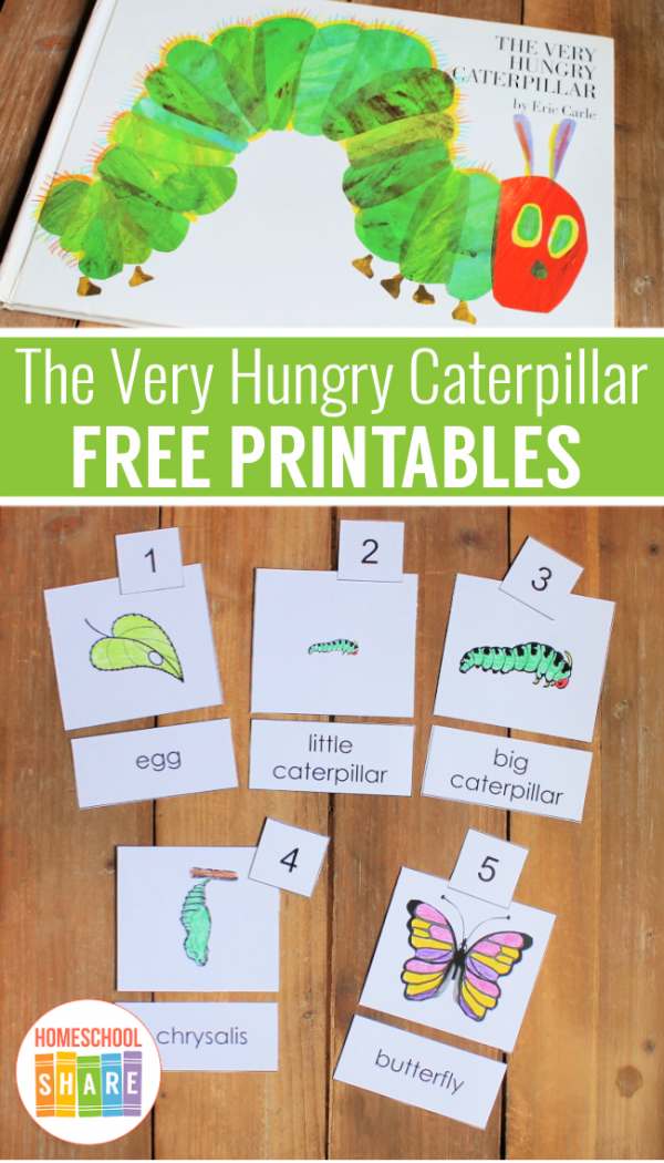 The Very Hungry Caterpillar Printables Homeschool Share