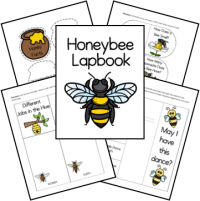 Free Butterfly Lapbook - Homeschool Share