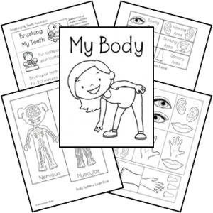 Human Body Lapbook - Homeschool Share