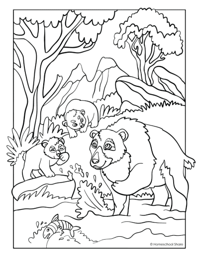 Forest Animal Coloring Pages Homeschool Share