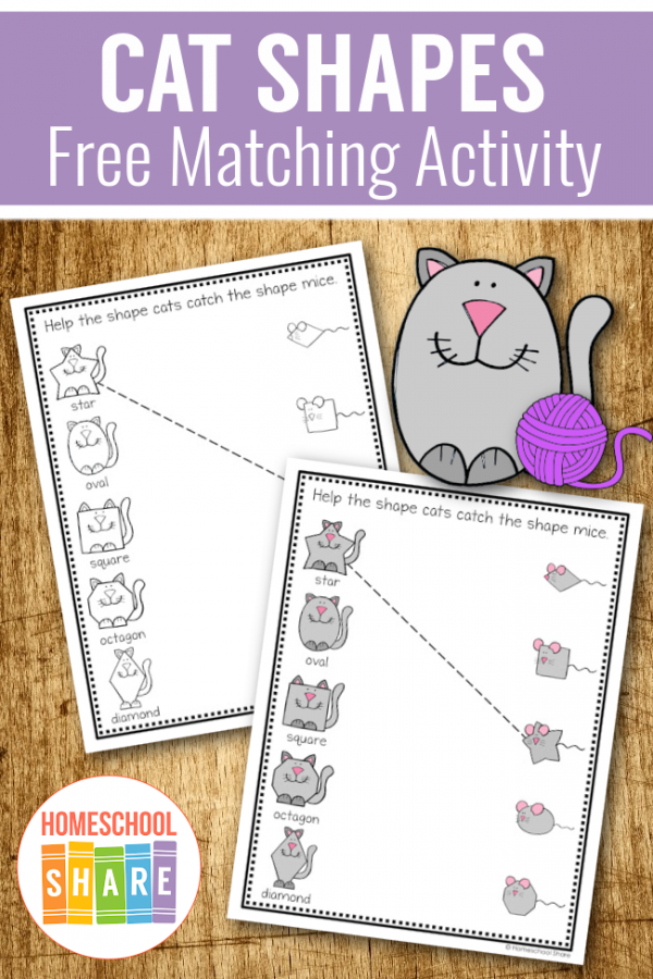 Cat Matching Shapes Worksheets Homeschool Share