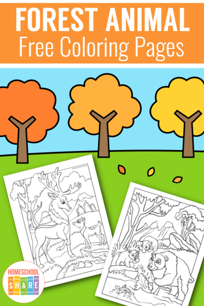 Forest Animal Coloring Pages - Homeschool Share