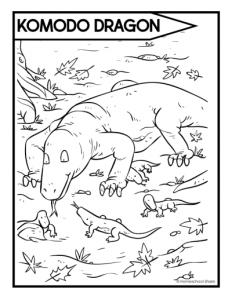 Reptiles Coloring Pages - Homeschool Share