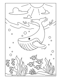 Ocean Animals Coloring Pages - Homeschool Share